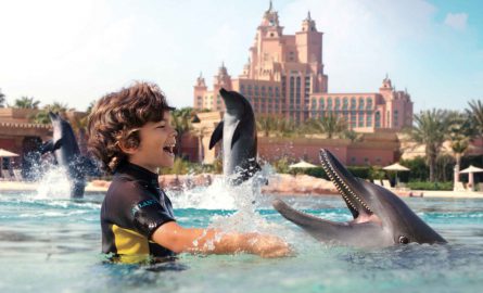 Delfin-Erlebnis in Dubai im Wasserpark