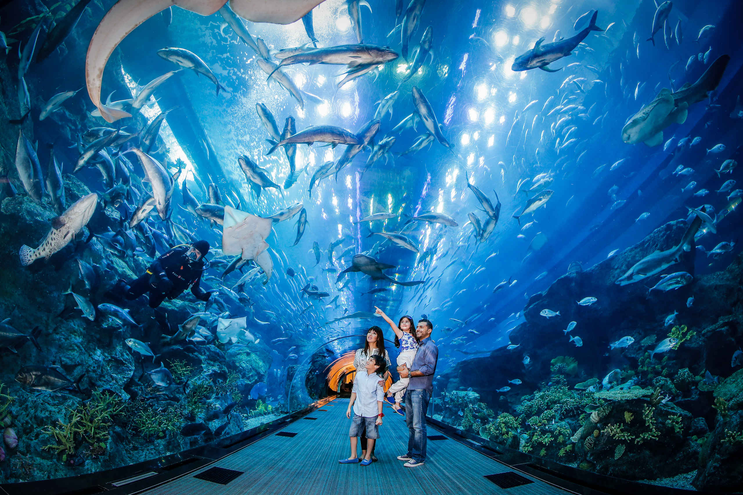 Dubai Aquarium Tunnel