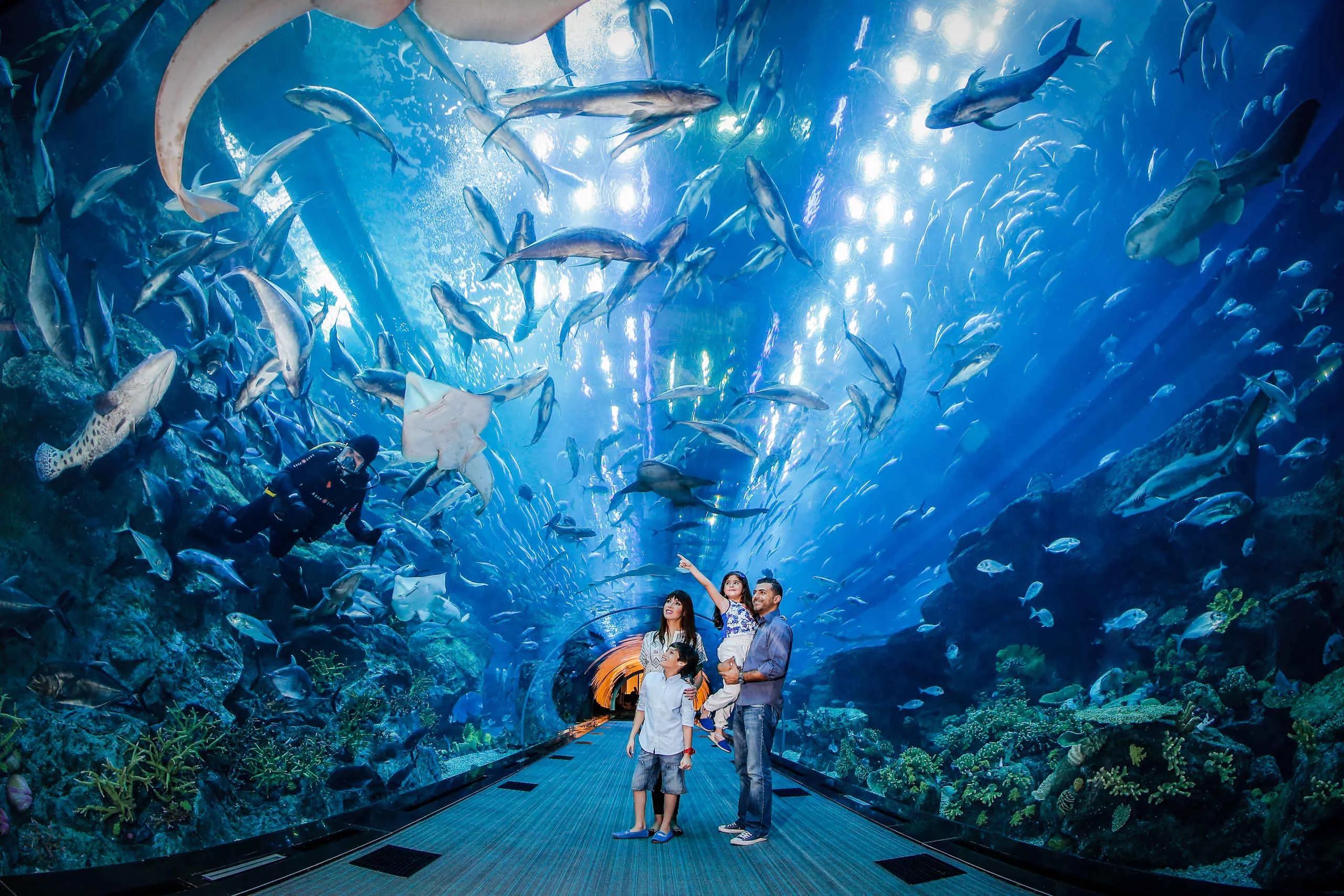 Dubai Aquarium Tunnel