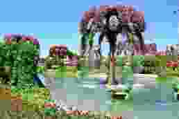 Tolle Blumenpracht im Miracle Garden und Butterfly Garden in Dubai