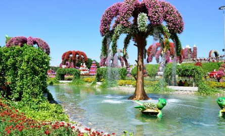 Tolle Blumenpracht im Miracle Garden und Butterfly Garden in Dubai