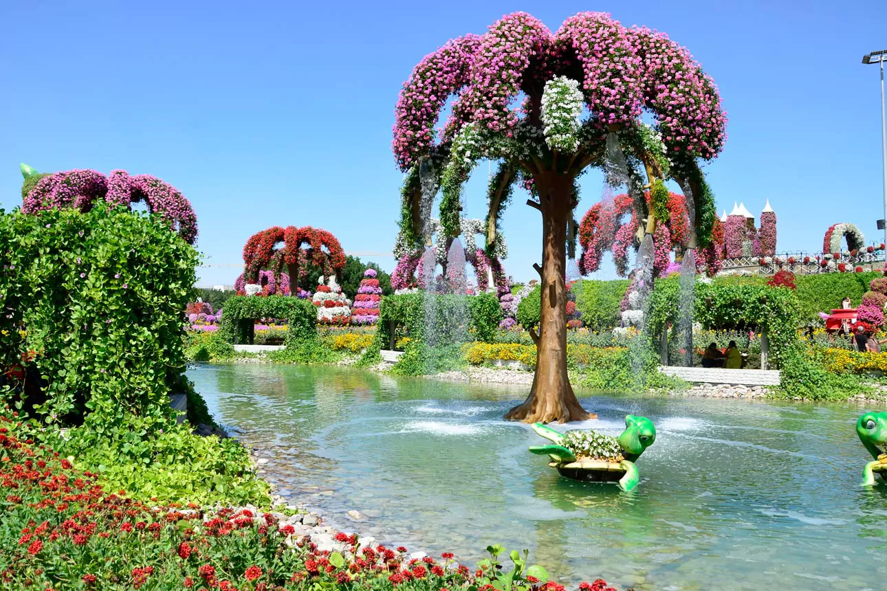 Tolle Blumenpracht im Miracle Garden und Butterfly Garden in Dubai