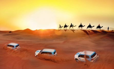Wüstensafari mit Kamelreiten in Dubai