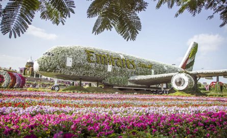 Der A380 in Originalgröße aus Blumen nachgebaut im Miracle Garden