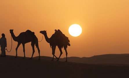 Zu Dubais Attraktionen gehören zum Beispiel Wüstensafaris
