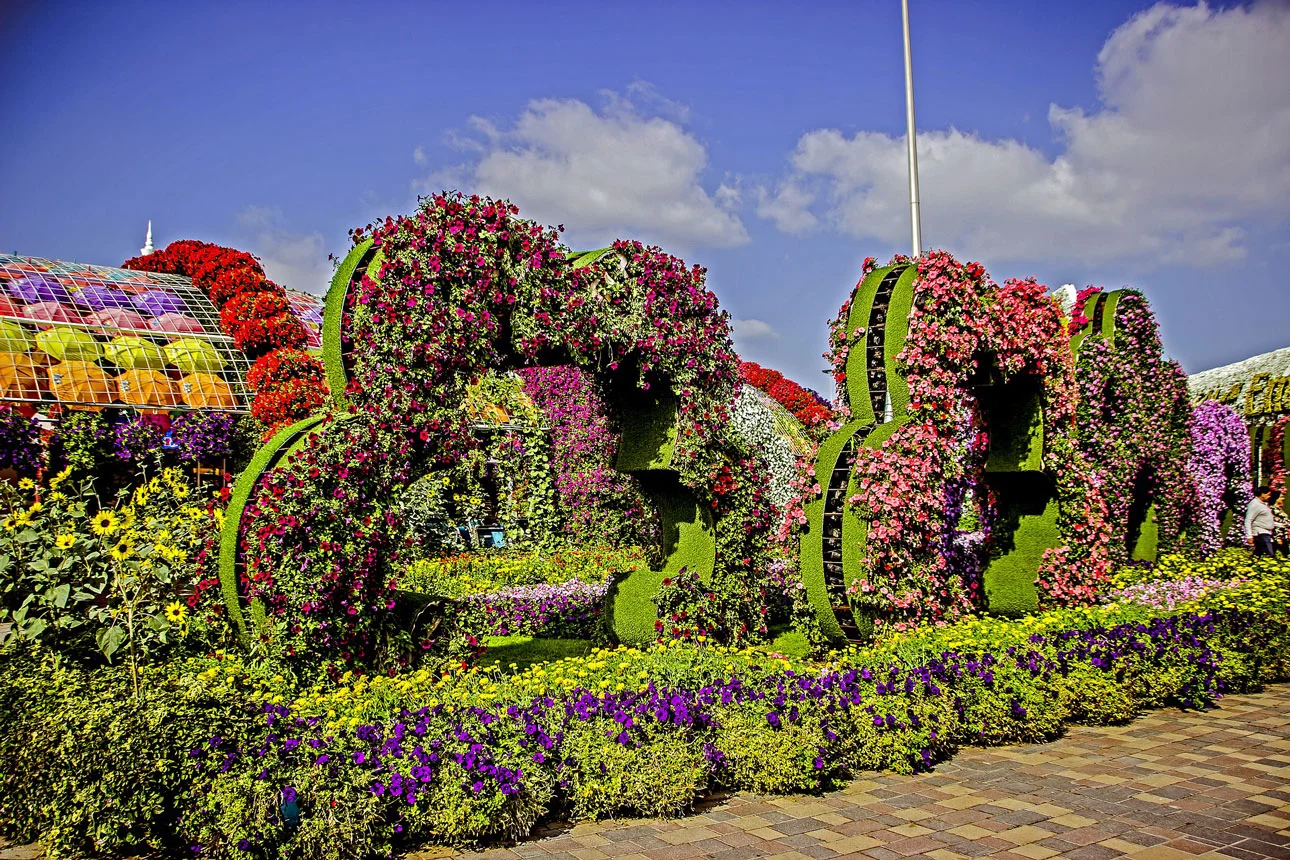 Miracle Garden in Dubai
