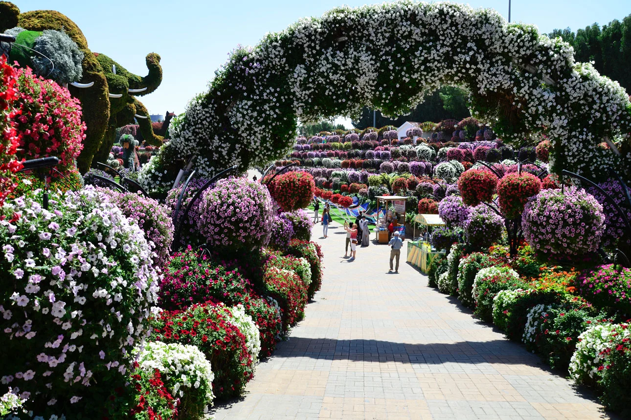 Blumenparadies Miracle Garden