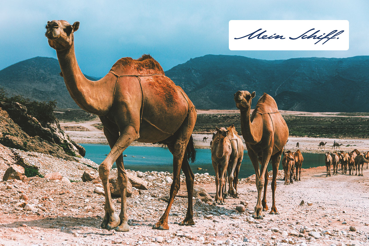 Mittelmeer Kreuzfahrt TUI über Dubai