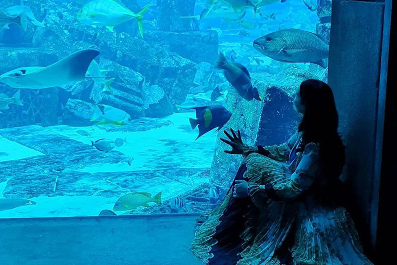 Ambassador Lagoon im Atlantis The Palm