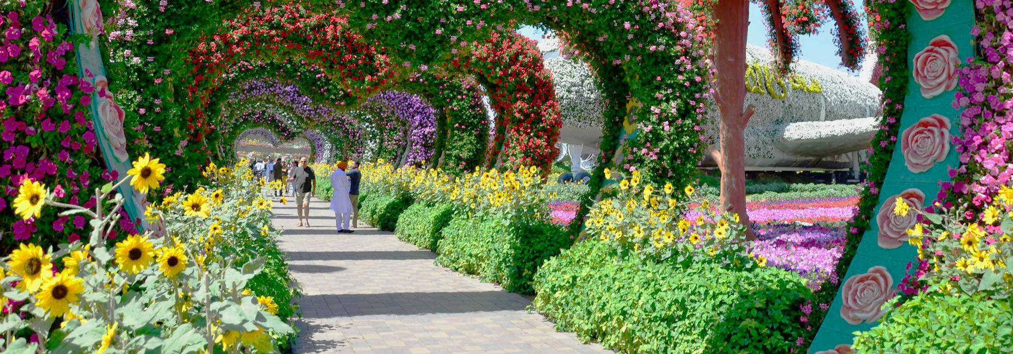 Miracle Garden Dubai