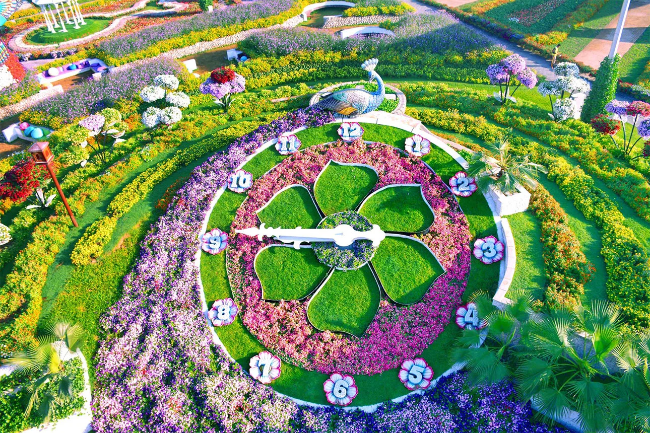 Miracle Garden Dubai